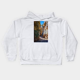 Lick Wash Trail Hike Kids Hoodie